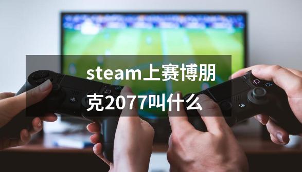 steam上赛博朋克2077叫什么-第1张-游戏相关-裕泰网